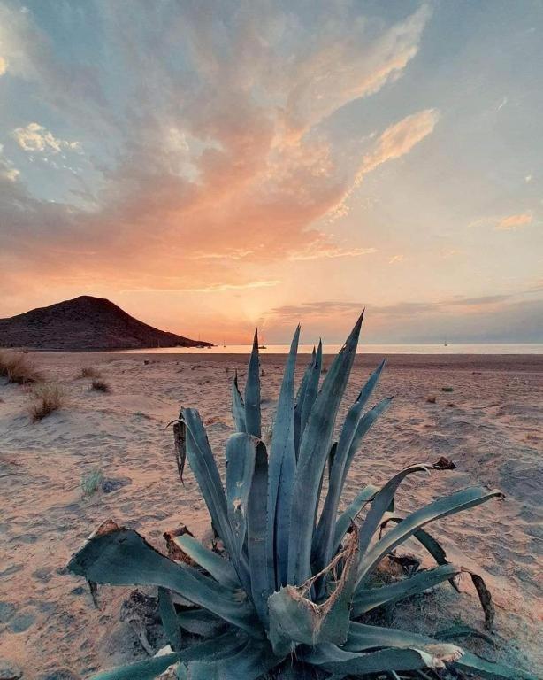 Magnifica Casa Con Encanto En Agua Amarga Agua Amarga  Luaran gambar